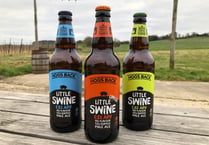 
Hogs Back Brewery launches ginger-flavoured beer Little Ginger Swine