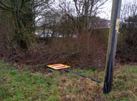 Man blames knocked-over sign for driving wrong way on A31 at Alton
