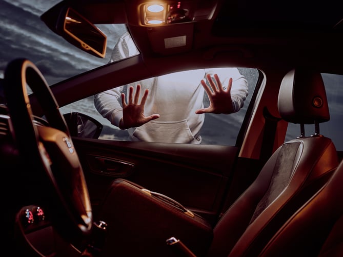 Numerous vehicles, garages and homes across the Liphook area were targeted in the early hours of January 31
