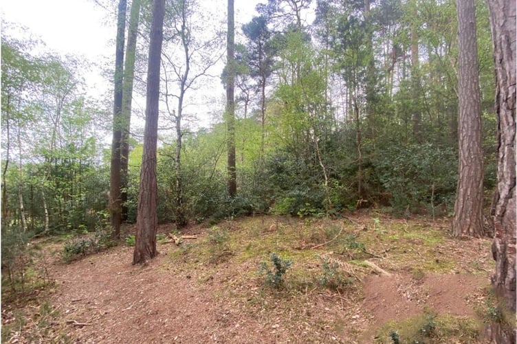 land for sale