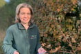 Wildlife-friendly farming in Selborne inspired by Gilbert White