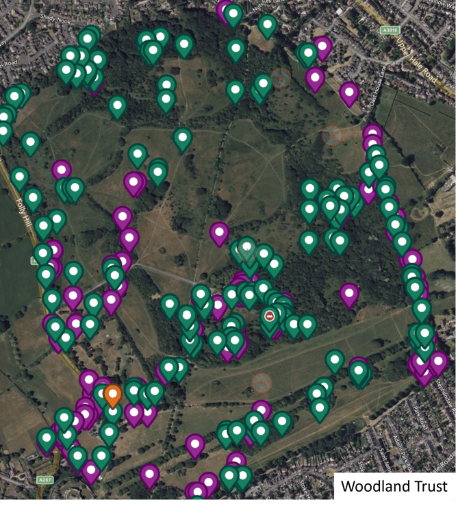 Veteran trees in Farnham Park, as mapped by the Woodland Trust