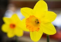 Celebrate the onset of spring at the Surrey Hills Spring Fair
