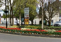 Hands off our flowers: Liphook villagers object to roundabout plans