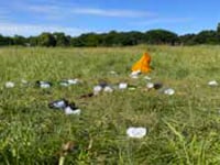 Letter: Make your new year resolution to put litter where it belongs