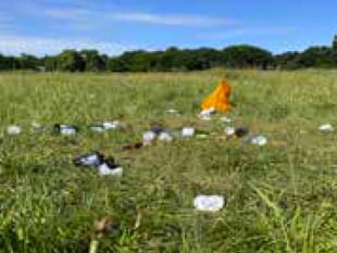 Letter: Make your new year resolution to put litter where it belongs