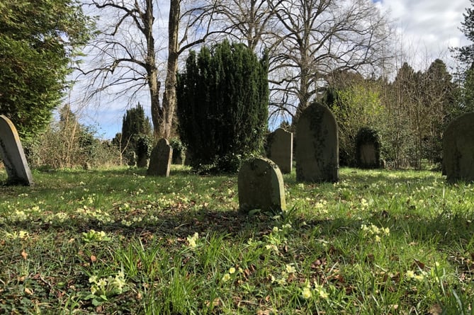 Alton Cemetery where the grave of Jessie Warwick is said to be marked with a yew tree