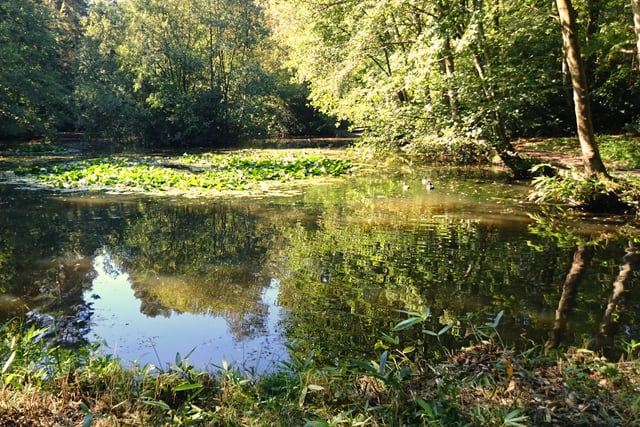 Renationalise water companies to put 'environment before profits'