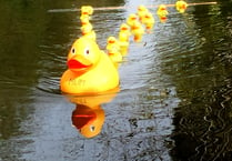 Farnham Duck Race to return at Gostrey Meadow next weekend