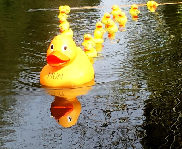 Farnham Duck Race to return at Gostrey Meadow next weekend