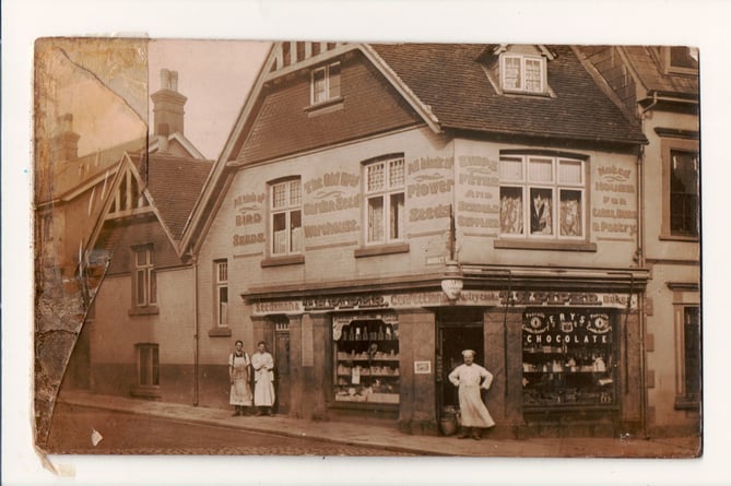 TH Piper in Market Street, Alton, supplied 'all kinds of bird seeds' as well as garden and flower seeds, and confectionary, cakes, buns and pastries to 'shops, fetes and schools'