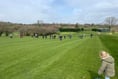 Petersfield Golf Club members get to work before new season