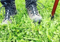 Put your best foot forward at Farnham Walking Festival this May