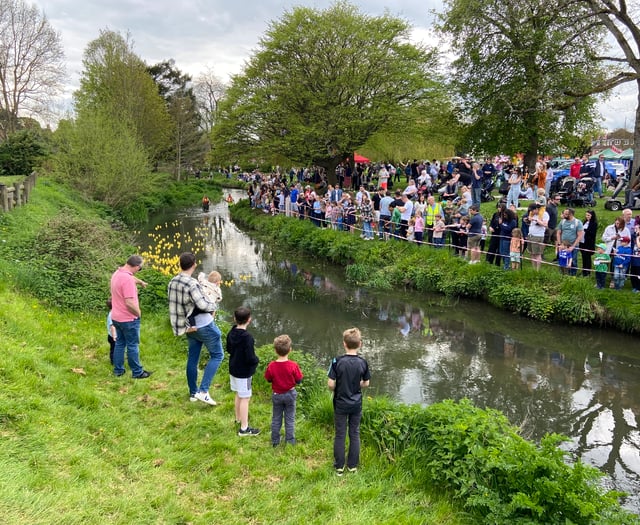 Fowl play as real ducks almost sabotage Great Farnham Duck Race 2023!
