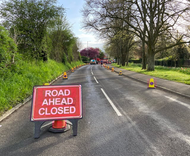 Farnham's West Street to reopen next weekend – for one day only