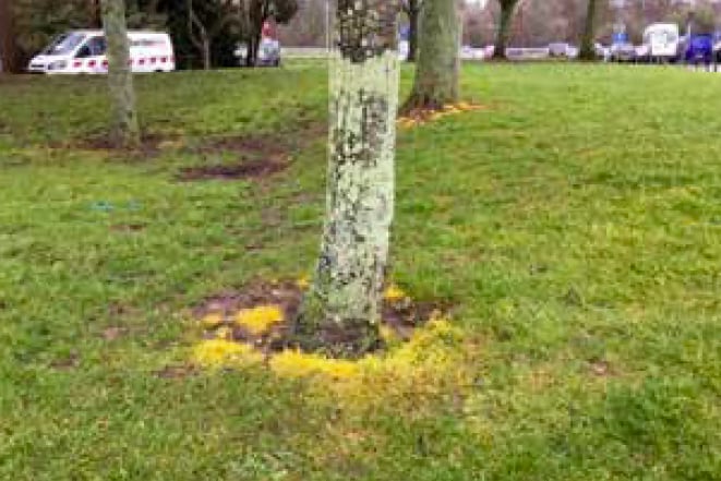 Pesticide damage.