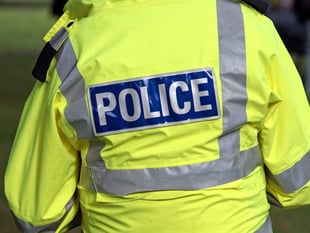 Teenager arrested after alleged assault at Hale Carnival 