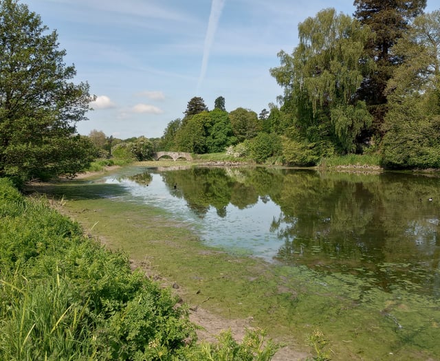 The fishy tale of local beauty spot's disappearing lake is solved...