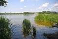 Man arrested after teenage girls 'flashed' at Frensham Great Pond