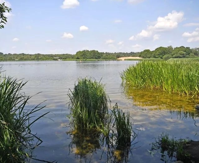 'Pollution incident' at Frensham Great Pond prompts swimming warning