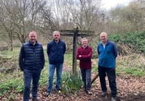 Community project seeks to save Farnham woodland from housing