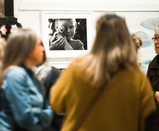 Works by Farnham charity's Ukraine Art Support Group go on display