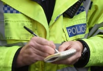 More thieves sentenced in Hampshire