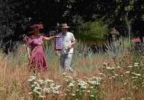 Haslemere's orchards are blossoming – but how are our butterflies?