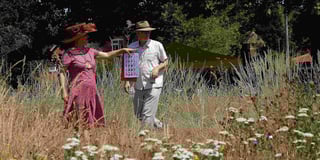 Haslemere's orchards are blossoming – but how are our butterflies?