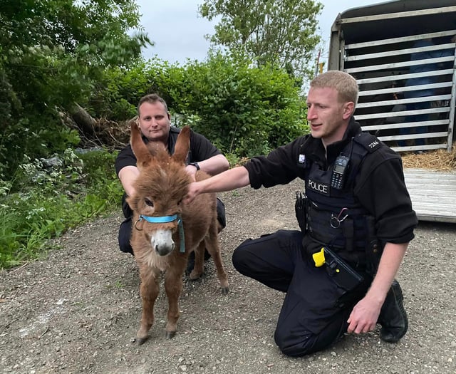 Two men arrested in connection with theft of little donkey Moon