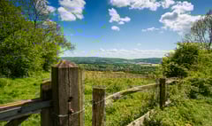 Jeremy Hunt: Join my campaign to make the Surrey Hills a national park