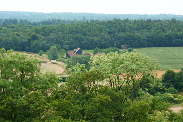 Ward councillors stripped of planning votes in huge Waverley shake-up