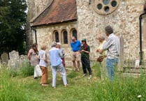 Busy bees: Hampshire county and environmental group help pollinators