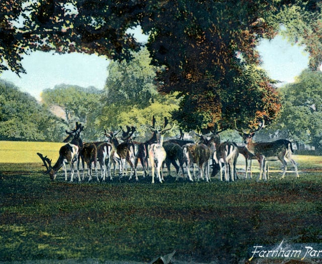 Help Historic England complete picture of Farnham Park’s historic past