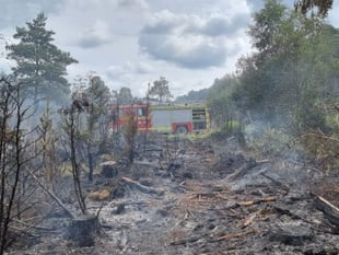 Hampshire firefighters warn people not to barbecue on heathland