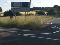 Holybourne driver criticises Hampshire County Council over A31 grass