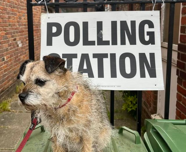 What really is the point of appointing local councillors? Ask the dog!