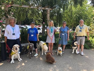 Pets as Therapy dogs win national top spot for their volunteering