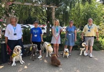 Pets as Therapy dogs win national top spot for their volunteering