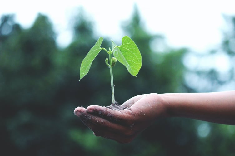 Climate change gardening is important to take into account.