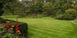 Medstead garden opening gate for National Garden Scheme next month