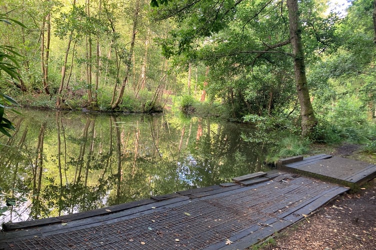 Knox Pond Bordon