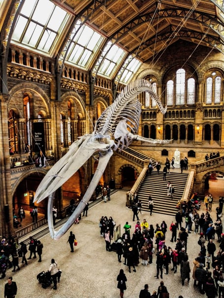 The Natural History Museum in London is a top family attraction – and costs nothing to enter!