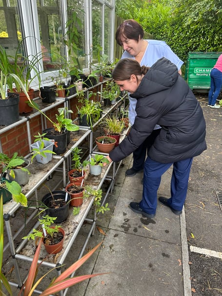 Phyllis Tuckwell's plant sales will resume once the new hospice opens