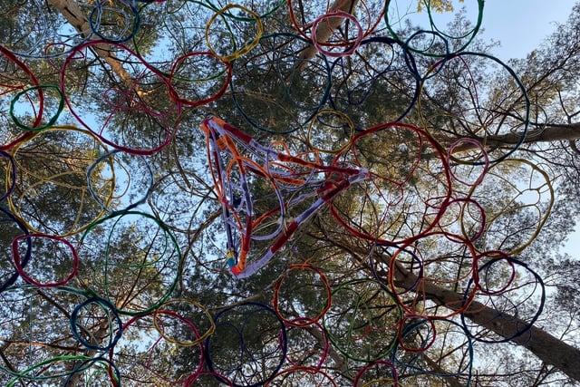 Creativity amidst nature: Heathland Artworks Trail at Farnham Heath