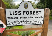 Forecast for Bank Holiday fun in Liss Forest