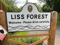 Forecast for Bank Holiday fun in Liss Forest