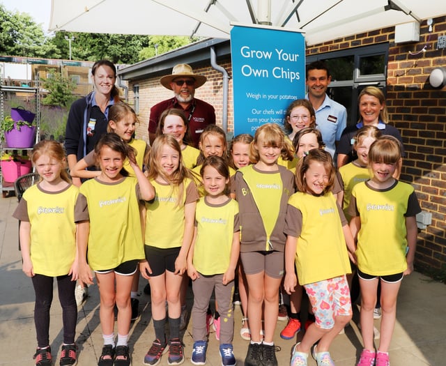 Witley Brownies grow their own chips