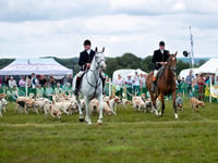 Release the hounds as rural showpiece returns to Meon Valley estate