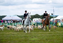 Join a celebration of Hampshire's countryside and sports